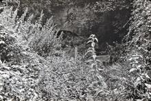 North end Ilminster Tunnel. 13/09/72