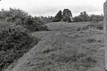 Looking north along embankment from Canal Inn at Wrantage. 13/09/72