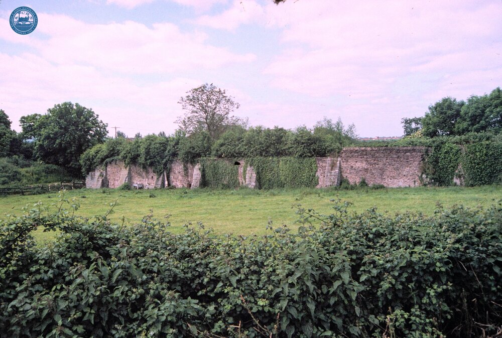 Creech St Michael. May 1999