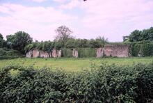 Creech St Michael. May 1999