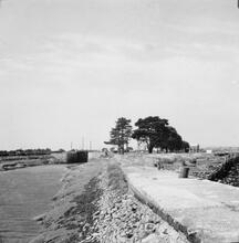 Turf Lock. August 1955
