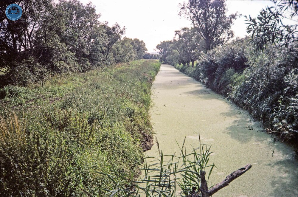 Westport Canal (1979)