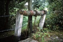 Stover Canal. Teigngrace. Paddle. 1978