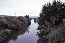 Stover Canal. Near Newton Abbot. 1980