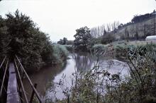 Stover Canal. Footbridge near Newton Abbot. 1980