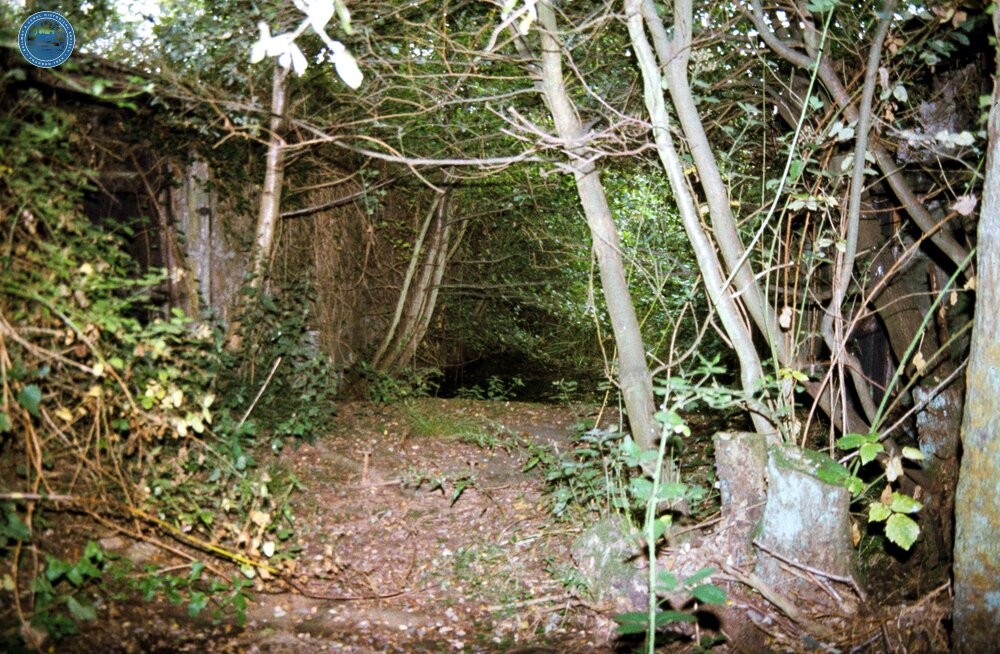 Stover Canal. 1993