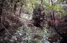 Stover Canal. 1993