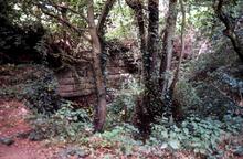 Stover Canal. 1993