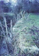Stover Canal — Teigngrace Lock  (2001)