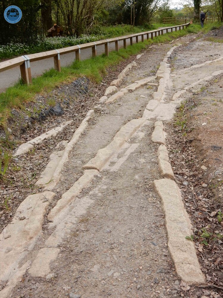 Stover Canal — Ventiford Basin: point (single slip) on Haytor Granite Tramroad.  (2017)