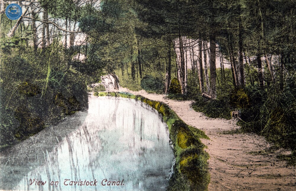  View on Tavistock Canal 