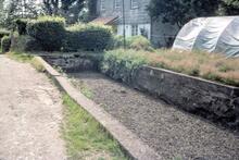 Morwellham end of the tub-boat canal. August 1977