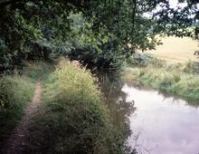 Near the Aqueduct. September 1978