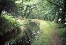 Near the Aqueduct. September 1978