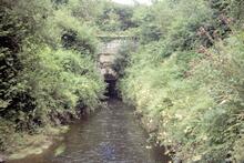 Southern Portal of Morwell Down Tunnel. August 1977