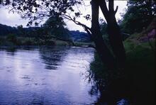 Caldon Canal