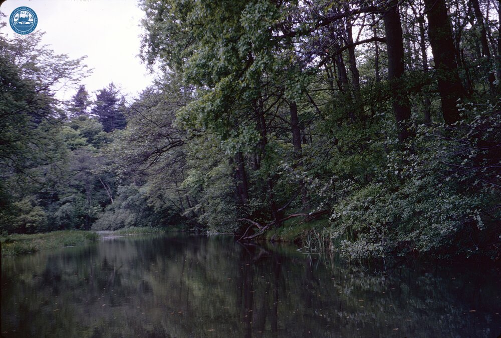 Caldon Canal