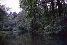 Caldon Canal