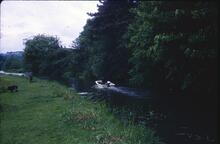 Caldon Canal