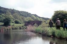 Caldon Canal. Cherry Eye Bridge, May 1975