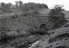Caldon Canal: Leek Tunnel, north end