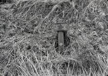 Trent & Mersey: Mile Post, Hardingswood
