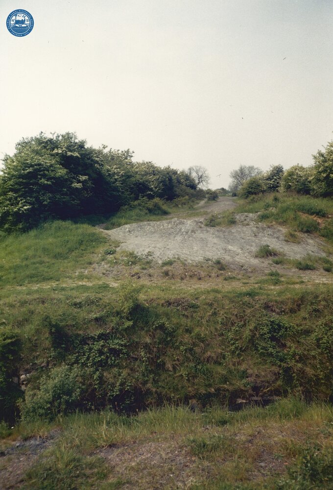 Site of Gilwiskaw Aqueduct, 1987