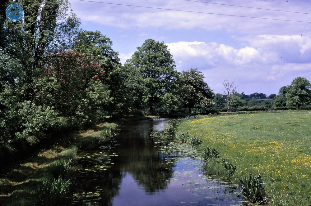 Ashby Canal. Shenton. North of Bridge 35. 07 June 1967