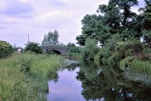 Ashby Canal. Shenton. North to Bridge 37. 28 June 1969