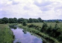 Ashby Canal. Looking south towards Market Bosworth Wharf from Bridge 44 (Carlton Bridge). 28 June 1969
