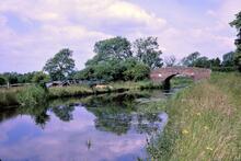Ashby Canal. Gopsall wharf and bridge 58. 28 June 1969