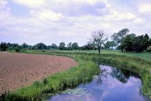 Ashby Canal. View North from Gopsall Wharf. 28 June 1969