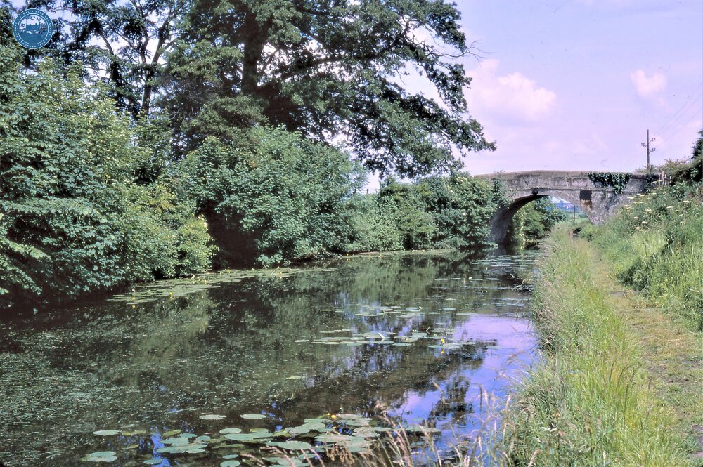 Ashby Canal. North of Snarestone, looking to Bridge 60 (Varnham's Bridge). 28 June 1969