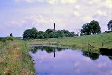 Ashby Canal. North of Snarestone. Terminal stank (dam). 28 June 1965