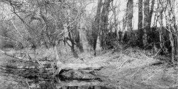 Coombe Hill Canal