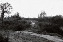 Coventry Canal: Possibly junction with Griff Hollows Canal.
