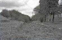 Possibly Coventry Communication Canal at Collycroft