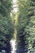 Arbury Canal. July 1969