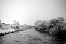 Coventry Canal. Near Tamworth. March 1975