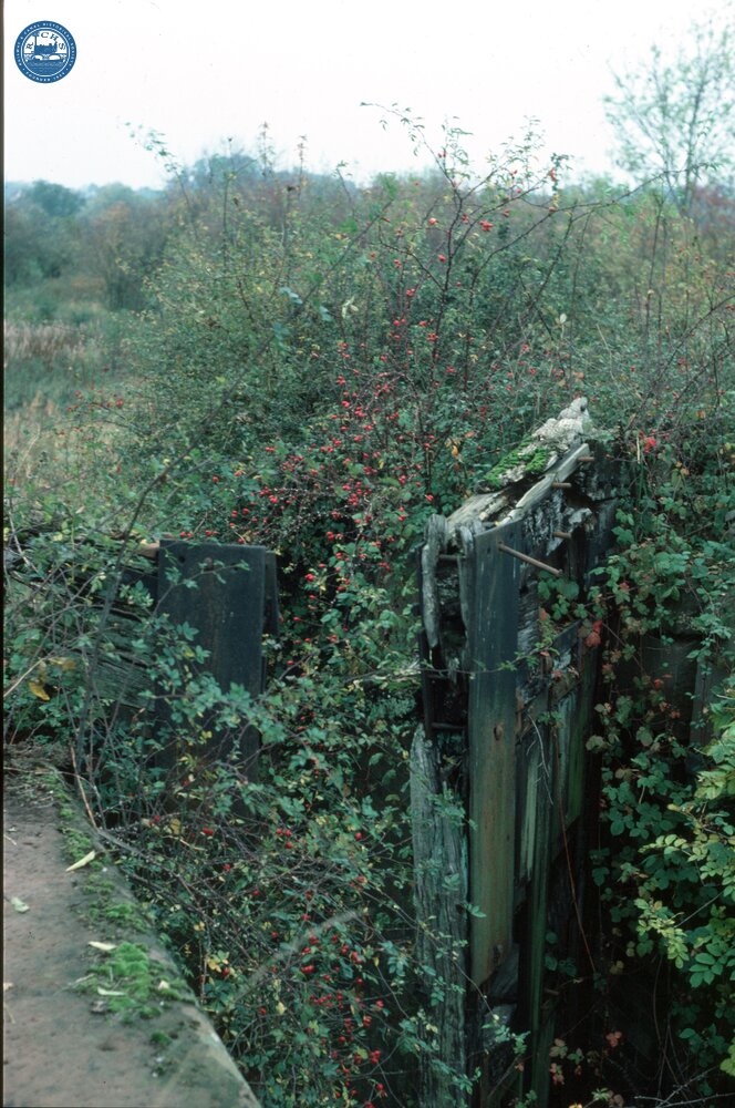 Droitwich Junction Canal, derelict lock