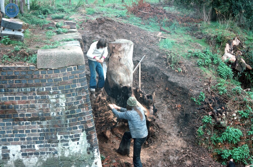 Droitwich Barge Canal, lock 2, removing tree stump