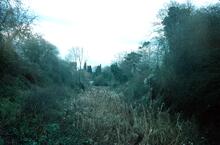 Droitwich Barge Canal, looking from west towards Salwarpe