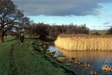 Droitwich Barge Canal, below Mildenham Mill