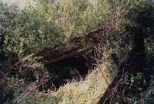Southern Portal of Oxenhall Tunnel. 1989