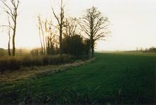 Swinmore Common 1989