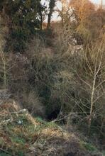 Eastern Portal of Ashperton Tunnel. 1989