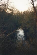 Cutting west of Ashperton Tunnel. 1989