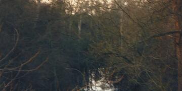 Herefordshire & Gloucestershire Canal. Coombe Hill Canal
