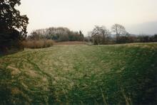 Monkhide. 1989