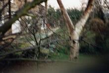 Canal House, Kymin. 1989